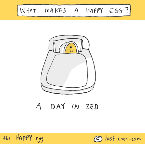Happy Egg: What makes an egg happy? A day in bed.