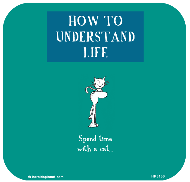 Harold's Planet: HOW TO
UNDERSTAND
LIFE: Spend time
with a cat...