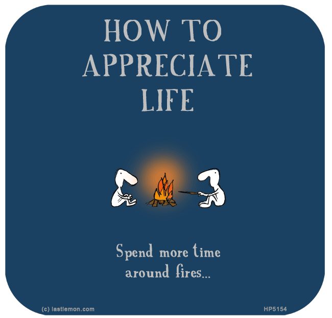 Harold's Planet: HOW TO APPRECIATE LIFE: Spend more time around fires...
