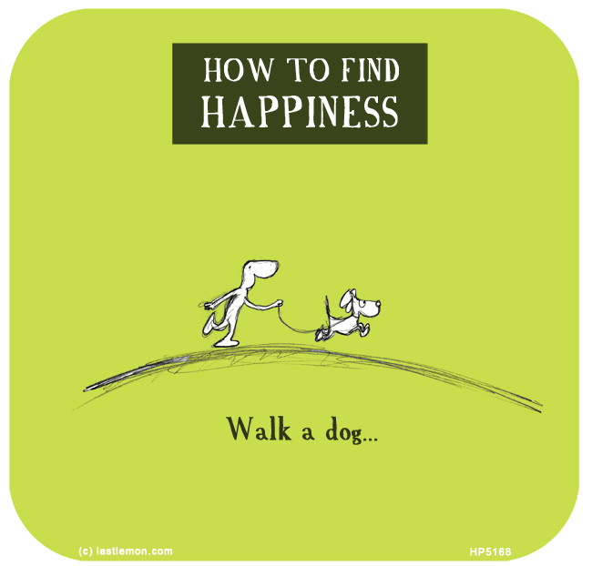 Harold's Planet: How to find happiness: Walk a dog