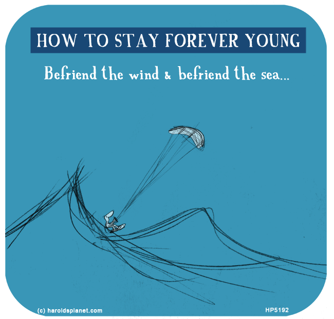 Harold's Planet: HOW TO STAY FOREVER YOUNG: Befriend the wind &  befriend the sea...

