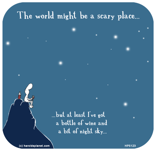 Harold's Planet: The world might be a scary place...but at least I’ve got a bottle of wine and a bit of night sky...
