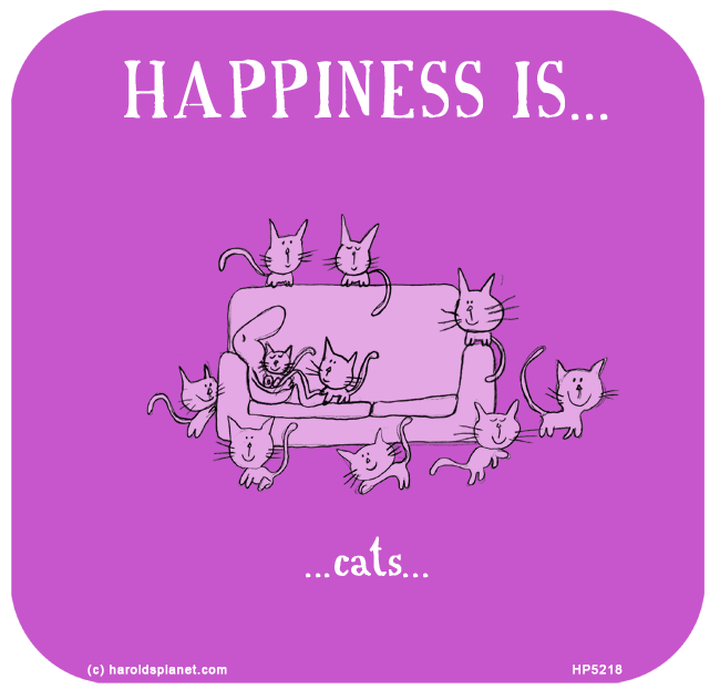 Harold's Planet: HAPPINESS IS: Cats...