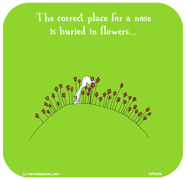 Harold's Planet: The correct place for a nose is buried in flowers....