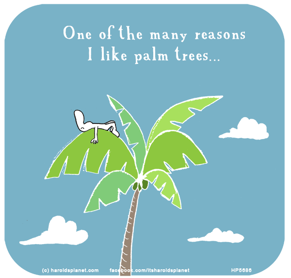 Harold's Planet: One of the many reasons I like palm trees