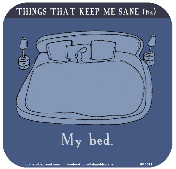 Harold's Planet: Things that keep me sane: My bed