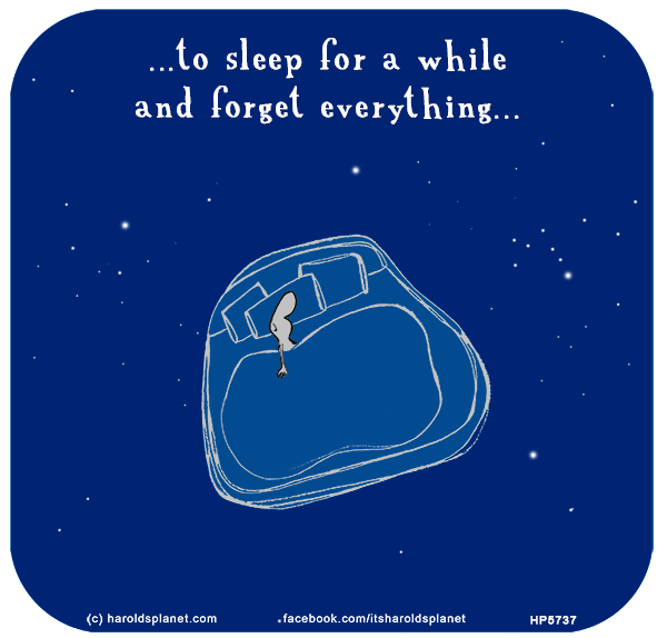 Harold's Planet: ...to sleep for a while and forget everything...