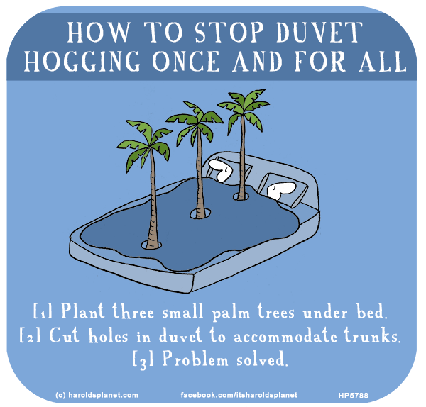 Harold's Planet: HOW TO STOP DUVET HOGGING ONCE AND FOR ALL: [1] Plant three small palm trees under bed. [2] Cut holes in duvet to accommodate trunks. [3] Problem solved.