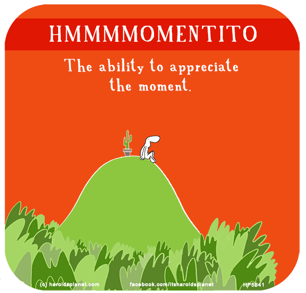 Harold's Planet: HMMMMOMENTITO: The ability to appreciate the moment.