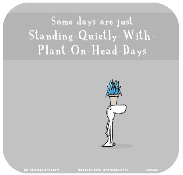 Harold's Planet: Some days are just Standing-Quietly-With-Plant-On-Head-Days