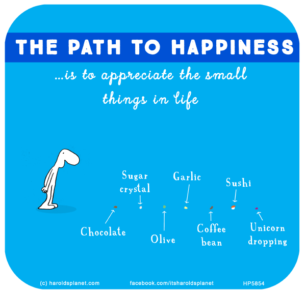 Harold's Planet: THE PATH TO HAPPINESS...is to appreciate the small things in life