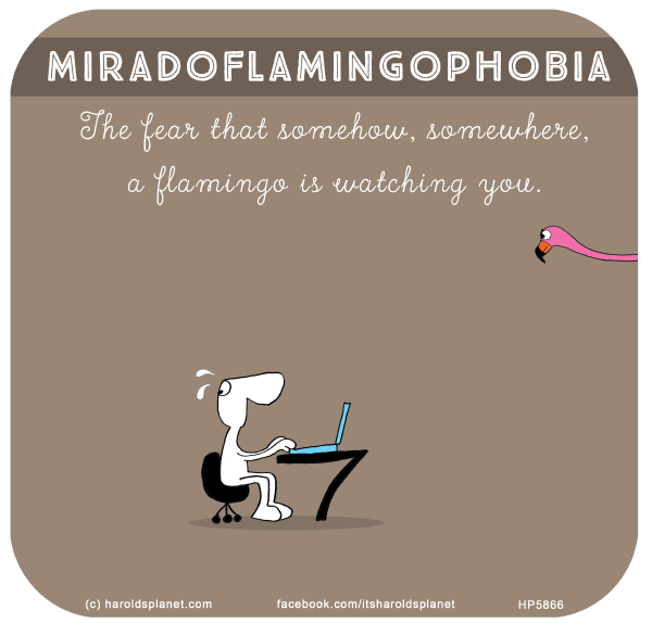 Harold's Planet: Miradoflamingophobia: The fear that somehow, somewhere, a flamingo is watching you.