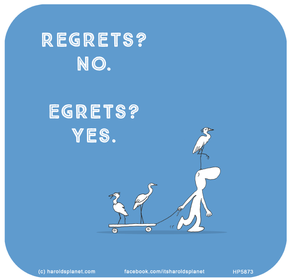 Harold's Planet: Regrets? No. Egrets? Yes.
