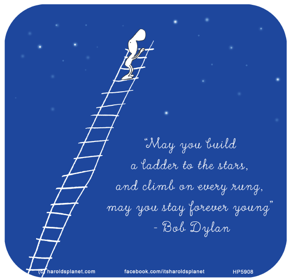 Harold's Planet: “May you build a ladder to the stars, and climb on every rung, may you stay forever young”  - Bob Dylan
