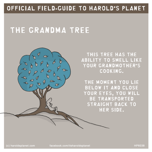 Harold's Planet: OFFICIAL FIELD-GUIDE TO HAROLD'S PLANET - THE GRANDMA TREE - THIS TREE HAS THE ABILITY TO SMELL LIKE YOUR GRANDMOTHER'S COOKING.  THE MOMENT YOU LIE  BELOW IT AND CLOSE YOUR EYES, YOU WILL BE TRANSPORTED STRAIGHT BACK TO HER SIDE.
