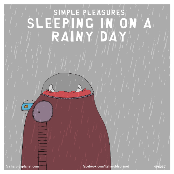 Harold's Planet: SIMPLE PLEASURES: SLEEPING IN ON A RAINY DAY