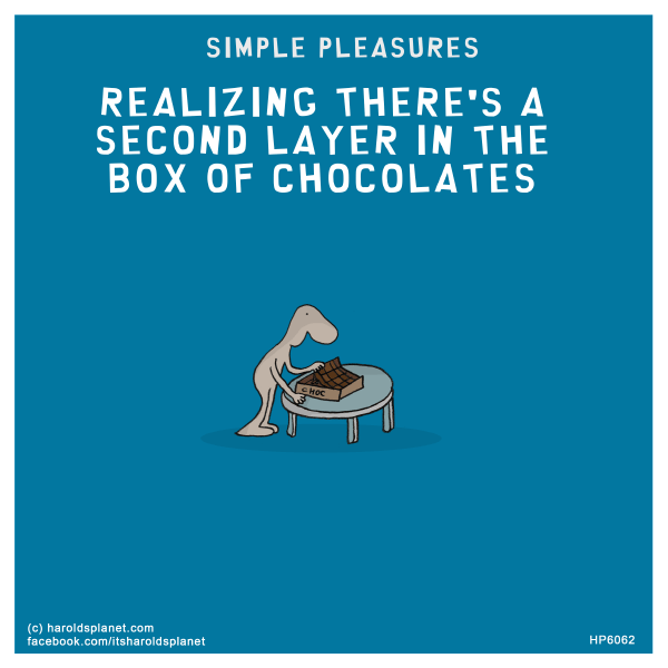 Harold's Planet: SIMPLE PLEASURES: Realizing there's a second layer in the box of chocolates
