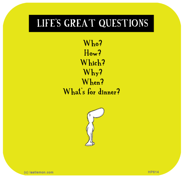 Harold's Planet: LIFE’S GREAT QUESTIONS: Who? How? Which? Why? When? What’s for dinner?