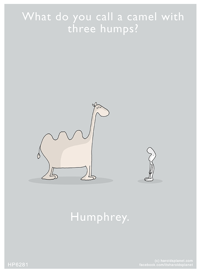 Harold's Planet: What do you call a camel with three humps? Humphrey.