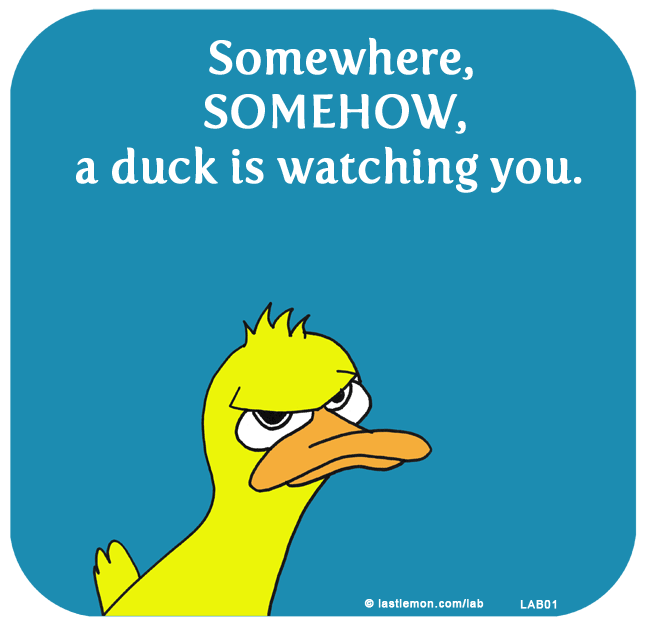 Lab: Somewhere, SOMEHOW, a duck is watching you. 

