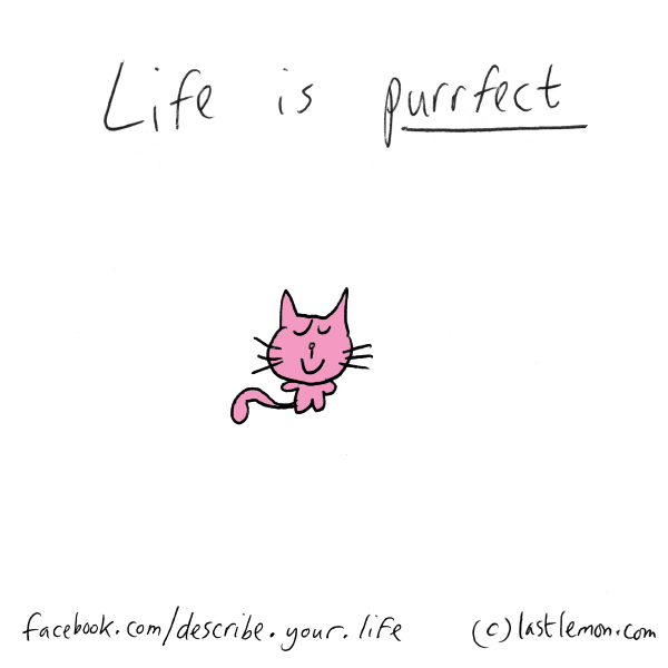 Life...: Life is purrfect