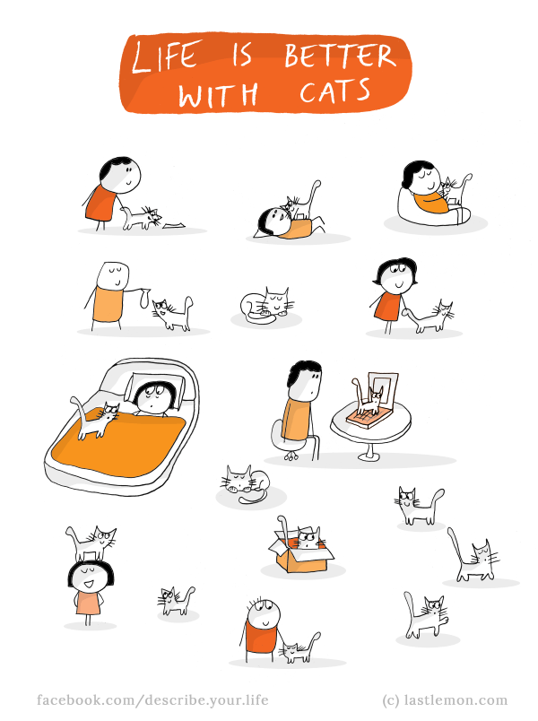 Life...: Life is better with cats