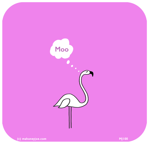 Mahoney Joe: Flamingo thoughts...