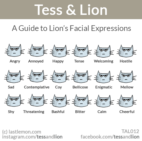 Tess and Lion: A guide to Lion's facial expressions
