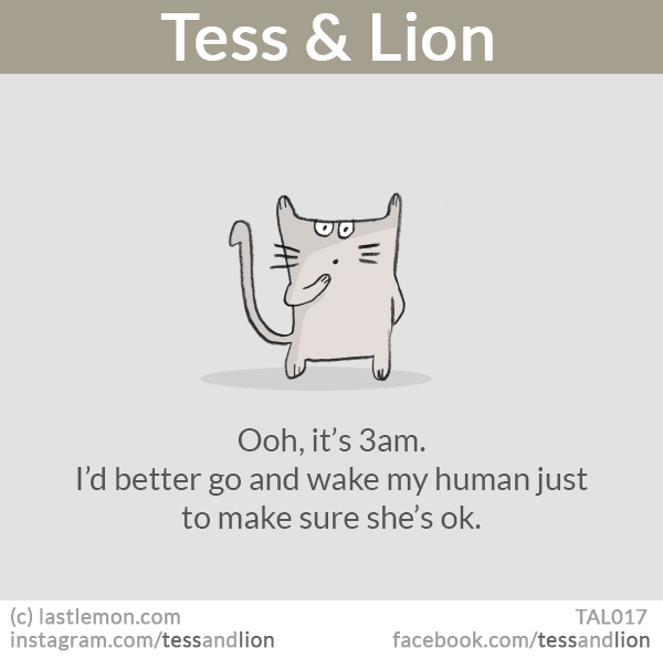 Tess and Lion: Ooh, it’s 3am. I’d better go and wake my human just to make sure she’s ok.
