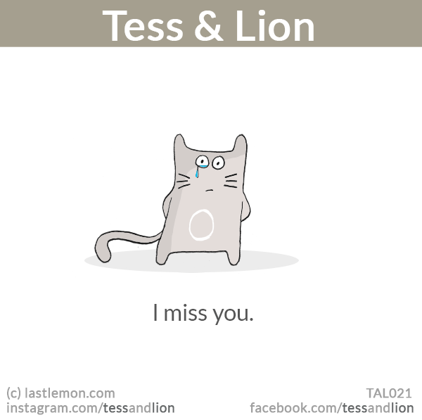 Tess and Lion: I miss you