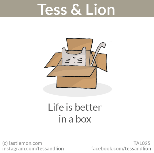 Tess and Lion: Life is better in a box