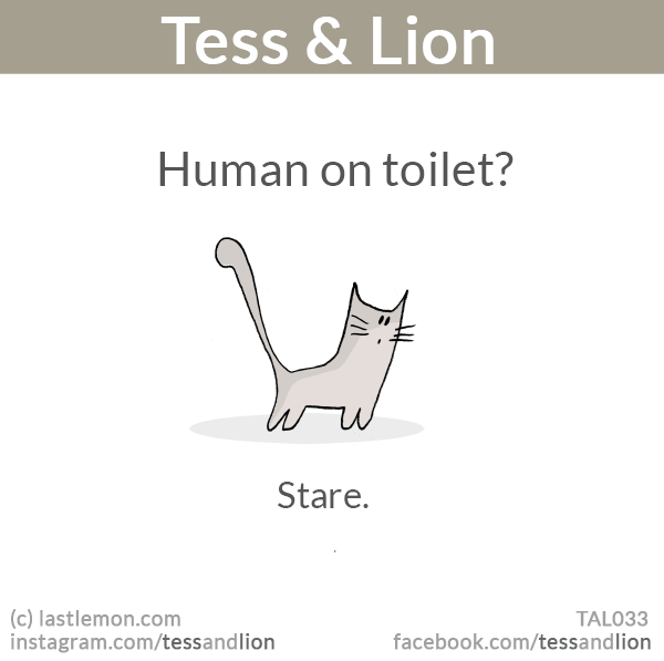 Tess and Lion: Human on toilet? Stare.