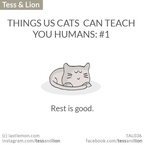Tess and Lion: THINGS US CATS  CAN TEACH YOU HUMANS: #1 - Rest is good.