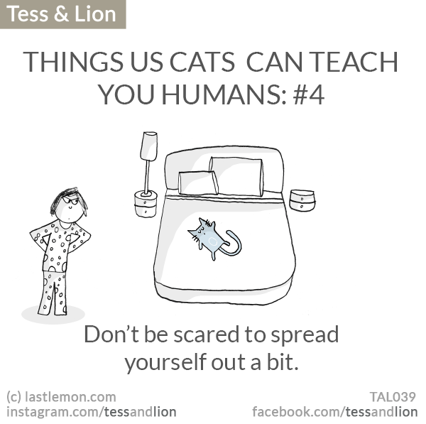 Tess and Lion: THINGS US CATS  CAN TEACH YOU HUMANS: #4 -  Don’t be scared to spread yourself out a bit.