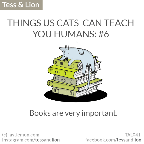 Tess and Lion: THINGS US CATS  CAN TEACH YOU HUMANS: #6 -  Books are very important