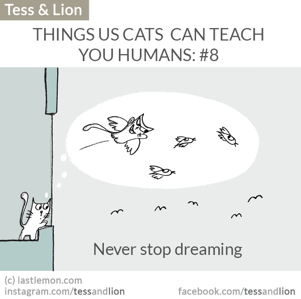 Tess and Lion: THINGS US CATS  CAN TEACH YOU HUMANS: #8 Never stop dreaming

