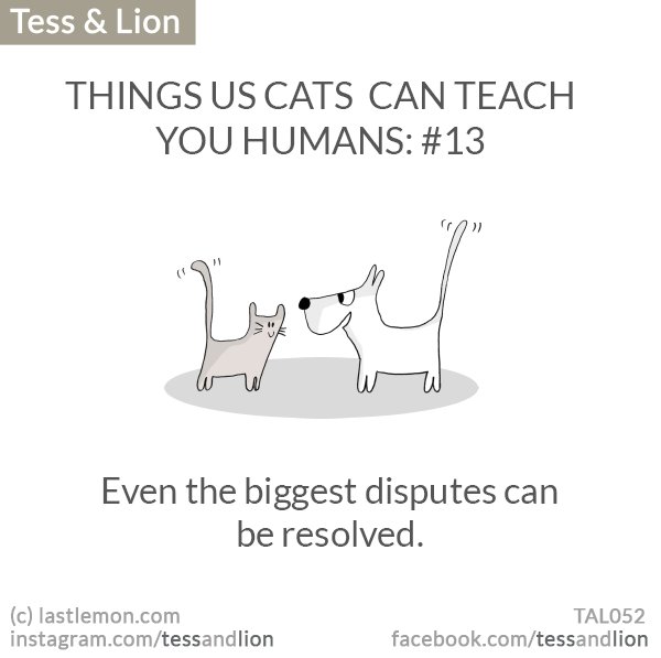 Tess and Lion: THINGS US CATS  CAN TEACH YOU HUMANS: #13 - Even the biggest disputes can be resolved.
