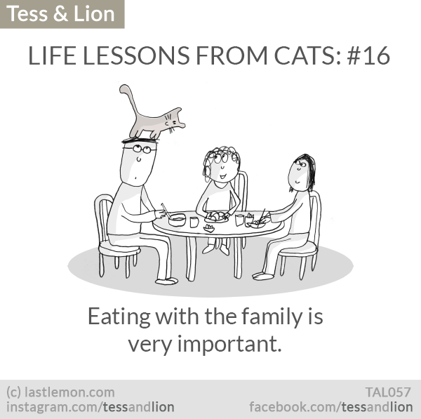 Tess and Lion: LIFE LESSONS FROM CATS: #16 - Eating with the family is very important.