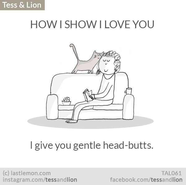 Tess and Lion: HOW I SHOW I LOVE YOU: I give you gentle head-butts.
