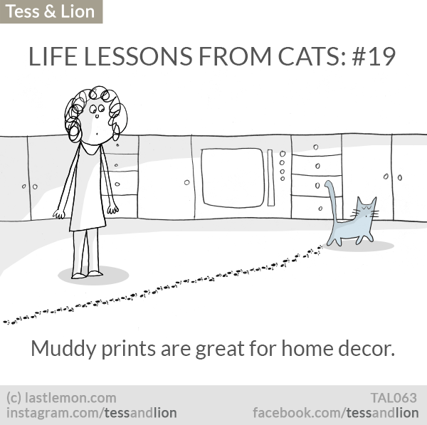 Tess and Lion: LIFE LESSONS FROM CATS: #19 - Muddy prints are great for home decor.
