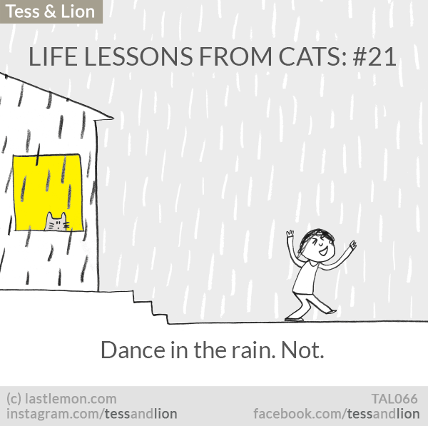 Tess and Lion: LIFE LESSONS FROM CATS: #21- Dance in the rain. Not.