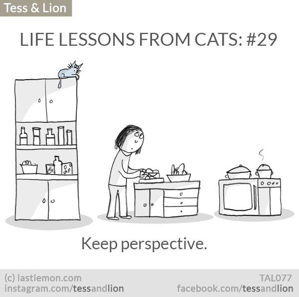 Tess and Lion: LIFE LESSONS FROM CATS: #29 - Keep perspective.