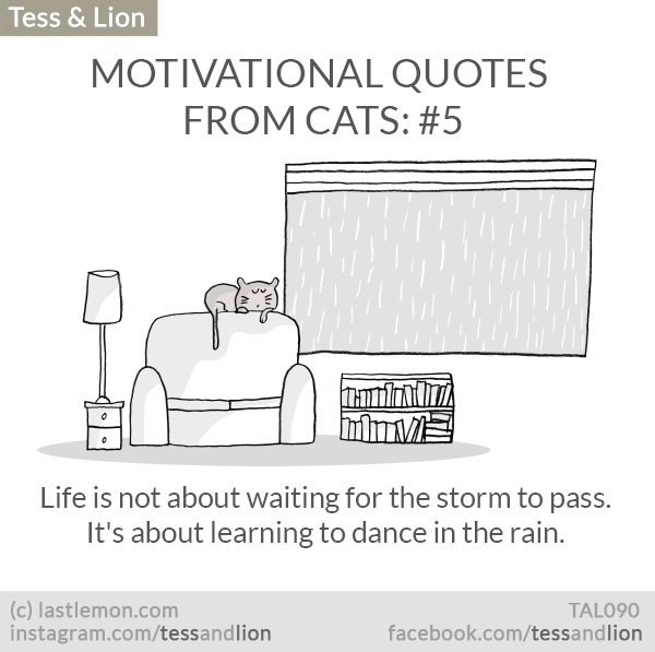 Tess and Lion: MOTIVATIONAL QUOTES FROM CATS: #5 - Life is not about waiting for the storm to pass. It's about learning to dance in the rain.
