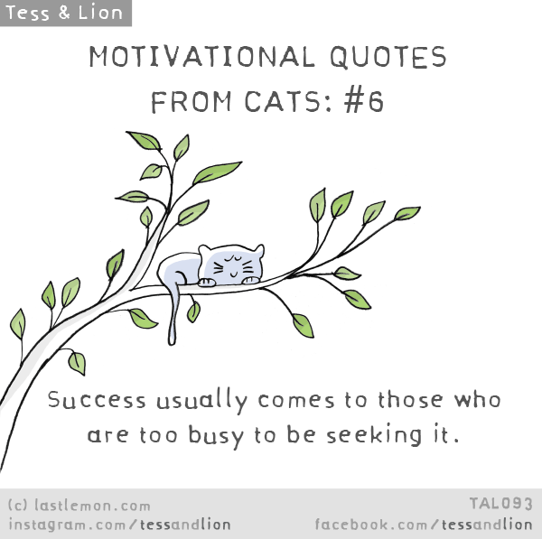 Tess and Lion: MOTIVATIONAL QUOTES FROM CATS: #6 - Success usually comes to those who are too busy to be seeking it.


