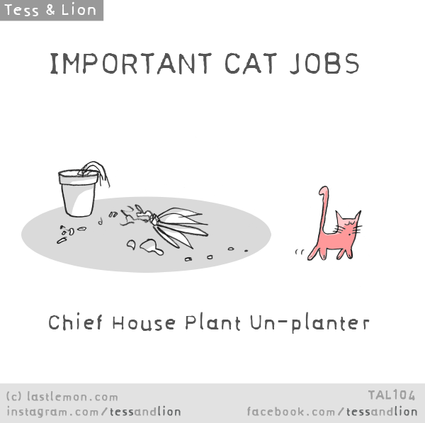 Tess and Lion: IMPORTANT CAT JOBS: Chief House Plant Un-planter