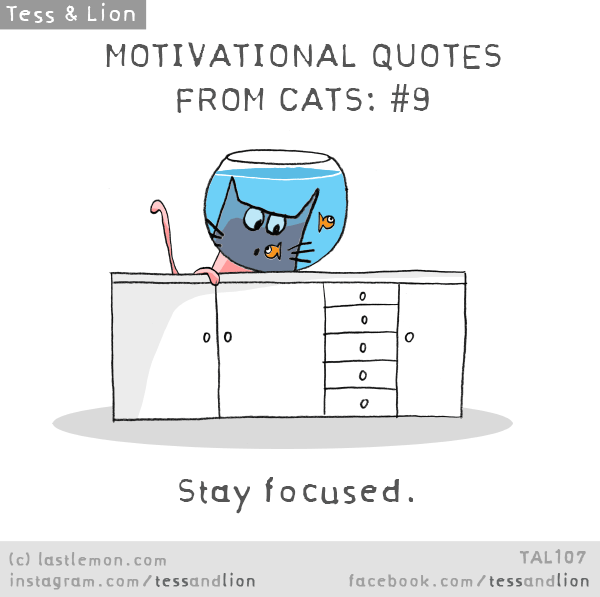 Tess and Lion: MOTIVATIONAL QUOTES FROM CATS: #9 - Stay focused.