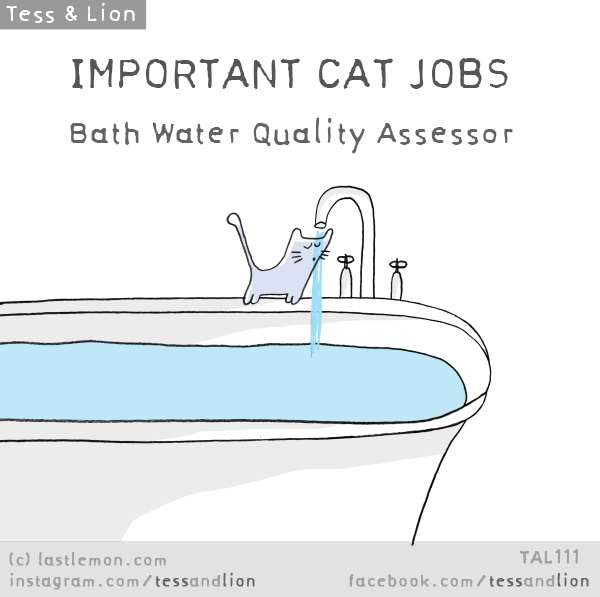 Tess and Lion: IMPORTANT CAT JOBS - Bath Water Quality Assessor