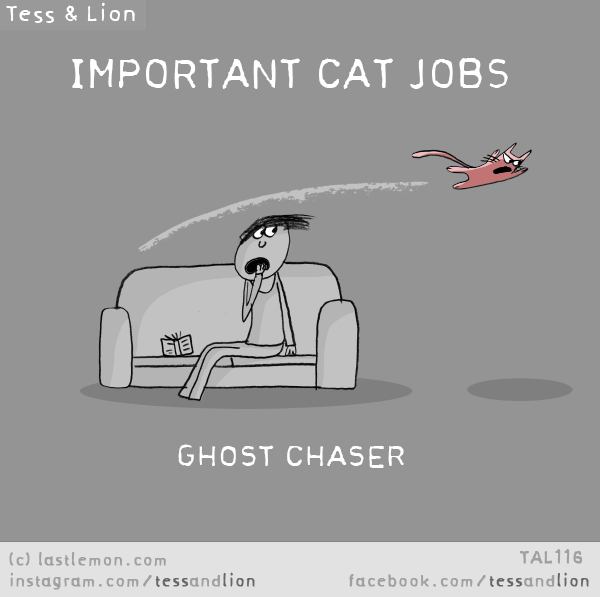 Tess and Lion: IMPORTANT CAT JOBS - GHOST CHASER