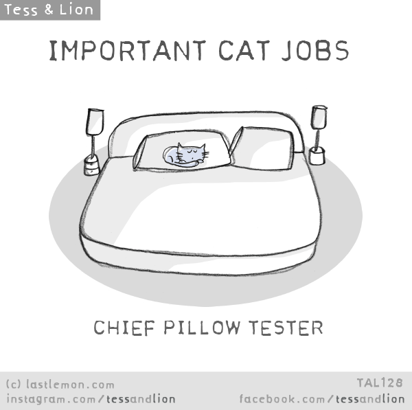 Tess and Lion: IMPORTANT CAT JOBS - CHIEF PILLOW TESTER