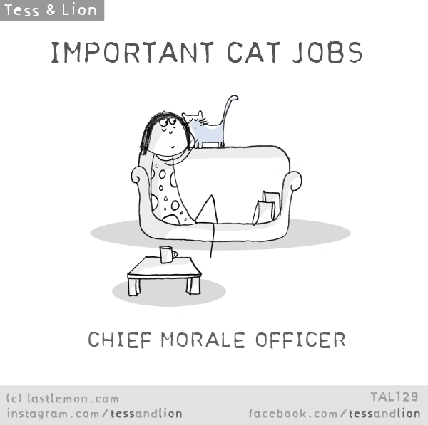 Tess and Lion: IMPORTANT CAT JOBS - CHIEF MORALE OFFICER